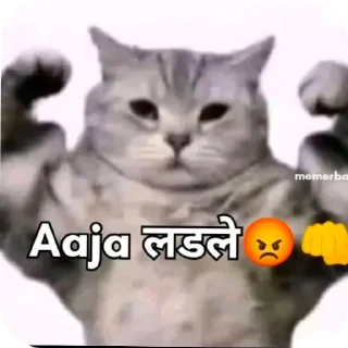 Sticker from SHUBH PACK