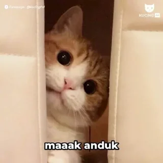 😸 emoji @adekmaulana's kang pack Vol.1 Telegram sticker 20 of 70