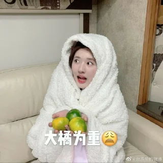 Sticker from Zhao lusi