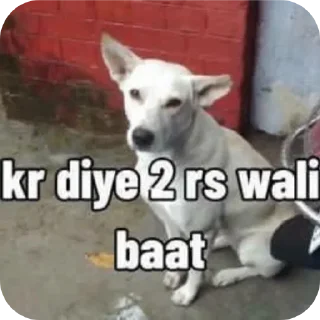 🐶 emoji ᴡᴏʟғ's sticker pack @wolfkibakchodi Telegram sticker 15 of 120