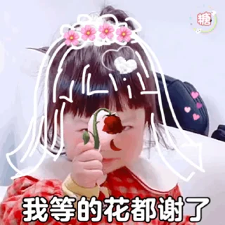 🫣 emoji 海外项目交流 👉 @xylianmeng Telegram sticker 9 of 49