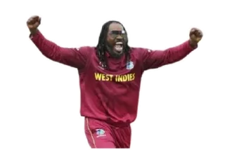 🥳 emoji Cricket @MeBenevolent Telegram sticker 24 of 41