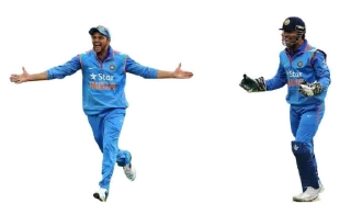 🥳 emoji Cricket @MeBenevolent Telegram sticker 13 of 41