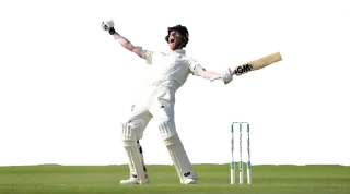 Sticker from Cricket @MeBenevolent