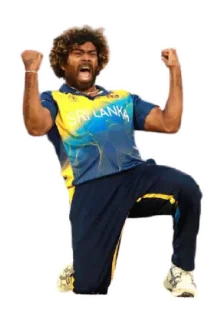 🥳 emoji Cricket @MeBenevolent Telegram sticker 22 of 41