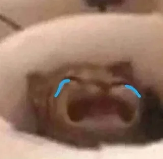 😭 emoji Ryo精选 Telegram sticker 9 of 27