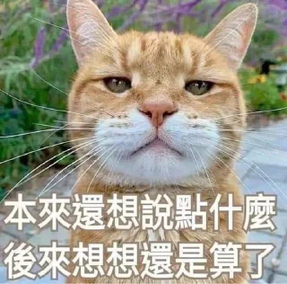 👀 emoji @okmytg 的自用貼圖 (2) Telegram sticker 17 of 92