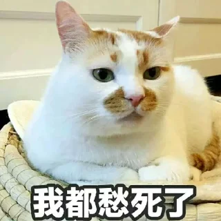 👀 emoji @okmytg 的自用貼圖 (2) Telegram sticker 18 of 92