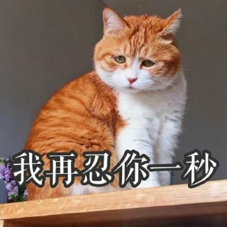 👀 emoji @okmytg 的自用貼圖 (2) Telegram sticker 16 of 92