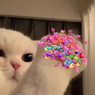 💗 emoji Don't take it 😡 Telegram sticker 21 of 23