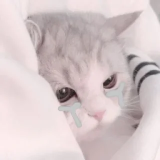 😪 emoji Infinity fams Telegram sticker 11 of 106