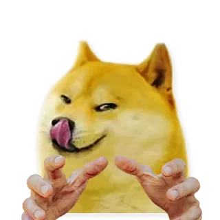 😋 emoji Meme Sticker Bundle LK Telegram sticker 17 of 78