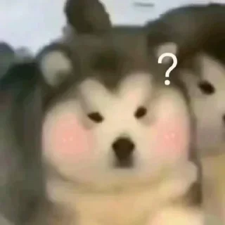 ❔ emoji 芜湖起飞~ Telegram sticker 22 of 42