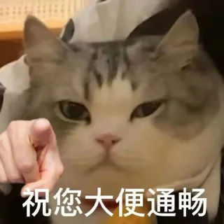 🌝 emoji 芜湖起飞~ Telegram sticker 16 of 42