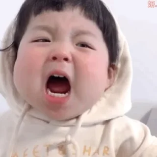 🐾 emoji 飞飞的北北 Telegram sticker 15 of 50