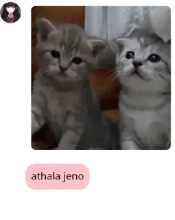 🪗 emoji for name pack by @QuotLyBot Telegram sticker 20 of 42