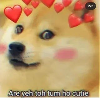 🙏 emoji Cheems ka 14 @ManasTheKing Telegram sticker 17 of 113