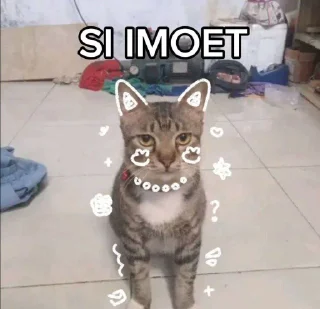 🙀 emoji kucing Telegram sticker 6 of 7