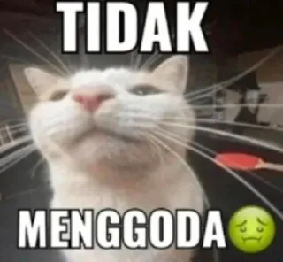 🤢 emoji Punya @YuMiErere y kontol Telegram sticker 17 of 19