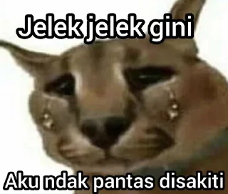 Sticker from kucing