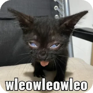 👍 emoji culo core Telegram sticker 6 of 40