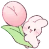 🐰 emoji ₍ ρiᥒκ rᥲδδiᴛs ₎ ˚₊· ♡ @mewsticks Telegram sticker 21 of 40