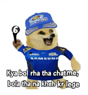Sticker from @stickersbag ipl memes😎