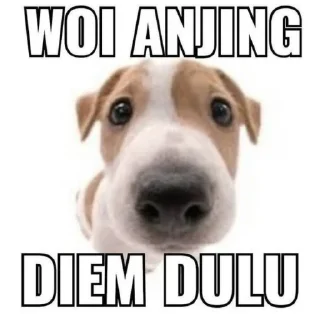 😡 emoji @mwoman kTar kTir 🥶🥶🥶🥶 Telegram sticker 8 of 120