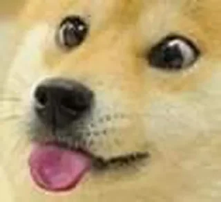Sticker from Doge | The End Game