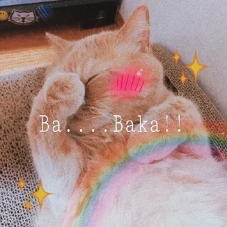 🐈 emoji ᴀsɴᴀᴀʜ's sticker pack (@Enmu_Kizuki_bot) Telegram sticker 8 of 101
