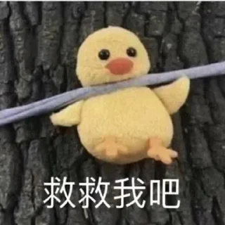 Sticker from 最漂亮的小姐姐 @wusui1