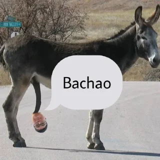 🌟 emoji 𝑫𝒆𝒗𝒆𝒍𝒐𝒑𝒆𝒓𝒔 2.0❤️ pack by @QuotLyBot Telegram sticker 14 of 43