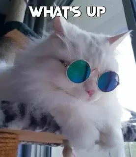 😎 emoji Saurav's pack Telegram sticker 9 of 64