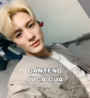 🌟 emoji Stevens ganteng @LeeJenot pack by @QuotLyBot Telegram sticker 21 of 22