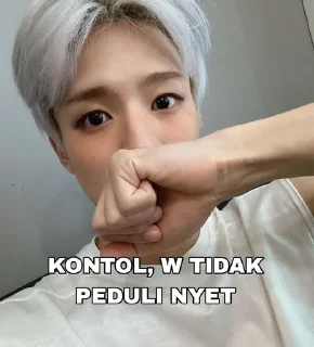 🌟 emoji Stevens ganteng @LeeJenot pack by @QuotLyBot Telegram sticker 7 of 22