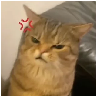 😡 emoji Cute Telegram sticker 12 of 53
