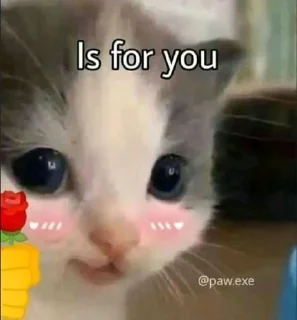 🙂 emoji 𝐏яιтн[@Prithyaa]𝐅ᴜɴɴʏ 😁𝐏ᴀᴄᴋ 💗 Telegram sticker 22 of 90
