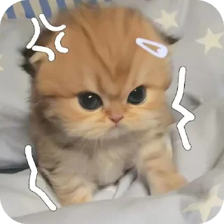 Sticker from By naomi ᥫ᭡