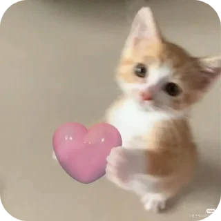 Sticker from By naomi ᥫ᭡