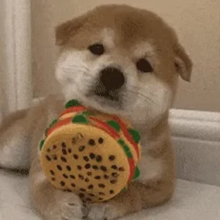 🐶 emoji 稀饭动物园🐶  @obzs999 Telegram sticker 7 of 50