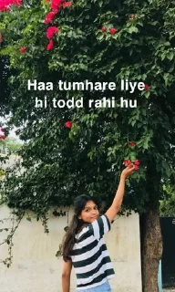 🤔 emoji Malkin ke stickers hai koi ni churega Telegram sticker 17 of 70