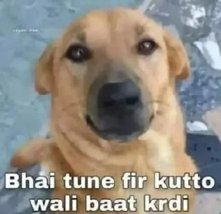 🤔 emoji Malkin ke stickers hai koi ni churega Telegram sticker 24 of 70