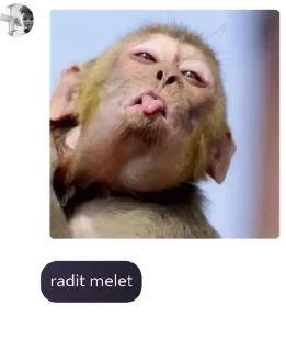 👨‍👩‍👧‍👧 emoji kecebong(kece ga boong) pack by @QuotLyBot Telegram sticker 5 of 42