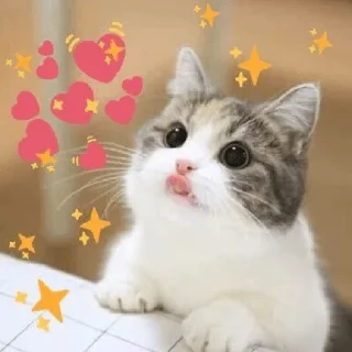 😀 emoji Cat World Domination Telegram sticker 21 of 30