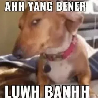😂 emoji ssssayaaapina ft roger sumatra Telegram sticker 23 of 24