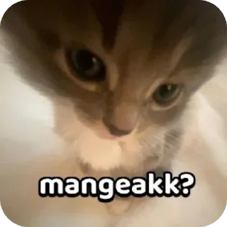 🐱 emoji tikell bian ah Telegram sticker 24 of 55