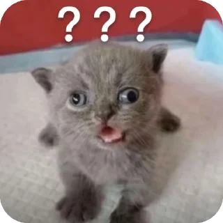 🤪 emoji Personal use Telegram sticker 18 of 104