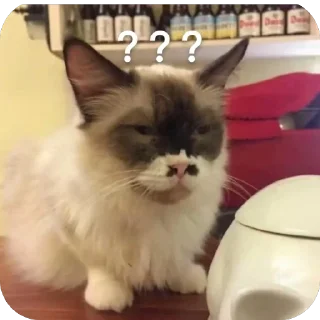 😑 emoji Personal use Telegram sticker 23 of 104