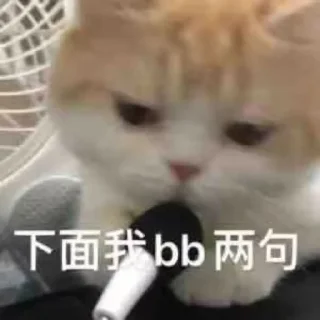 Sticker from 可爱猫猫-@maoSMS