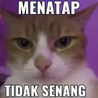 Sticker from kocheng imoet